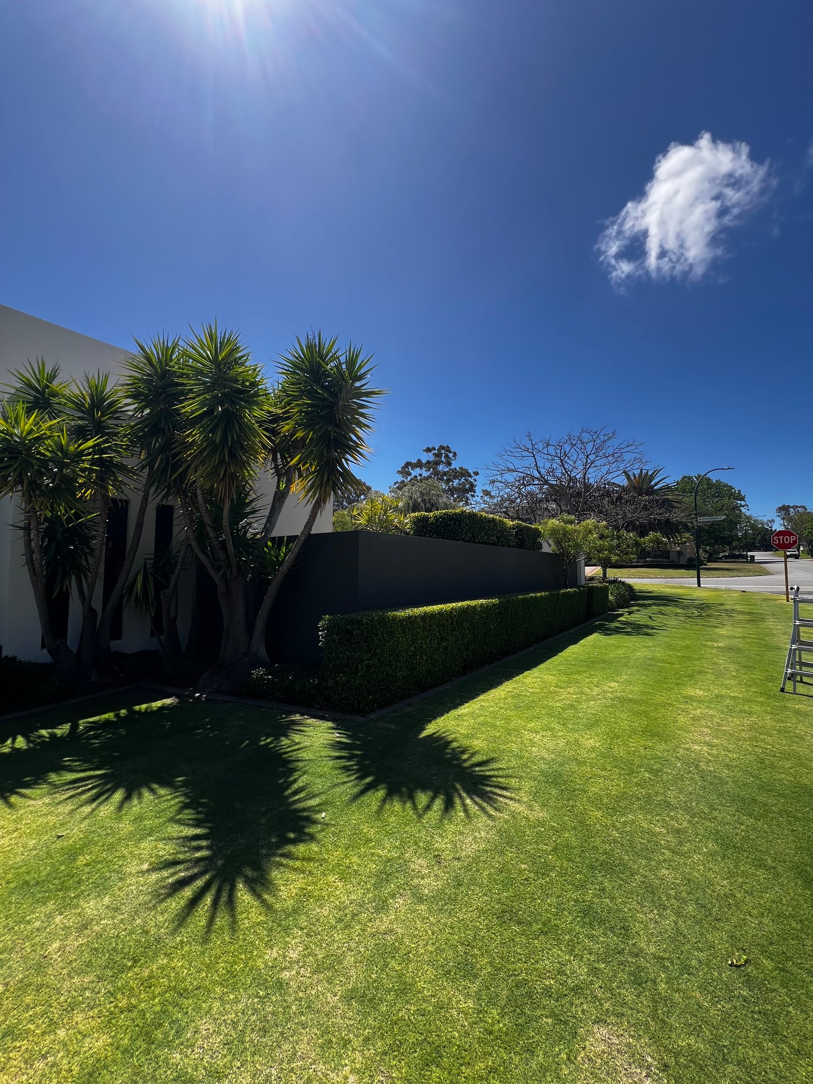 Vue d’un jardin entretenu par Morizet Garden