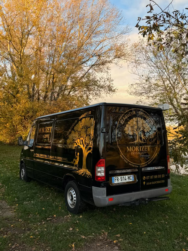 Travaux d’élagage sur arbre de grande taille